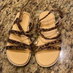 Cat and Jack leaped Sandals
